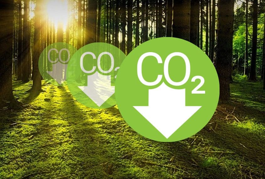 Wald mit Icon CO2-Reduktion