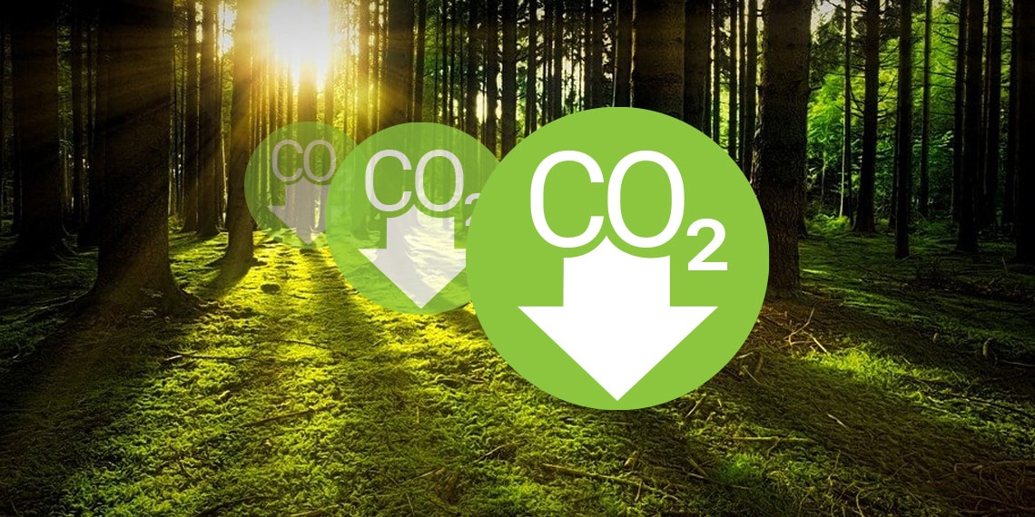 Wald mit Icon CO2-Reduktion